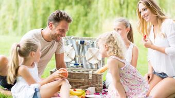 Bienen- und Wespenstiche vermeiden