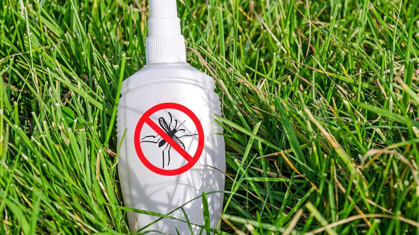 Mückenabwehr-Spray auftragen
