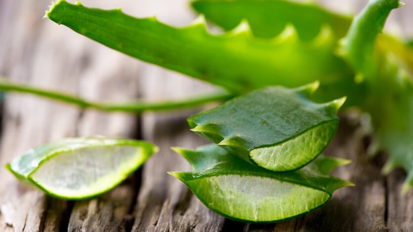 Hausmittel bei Sonnenbrand: Aloe vera & Sonnenbrand